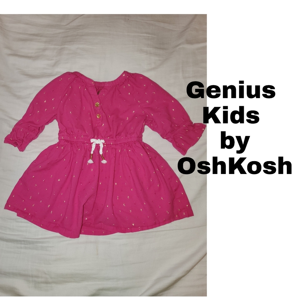 Genius Kids by Oshkosh Dress  18 months